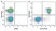 Anti Mouse CD45R Antibody, clone RA3-6B2 thumbnail image 59