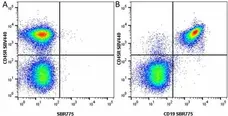 Anti Mouse CD45R Antibody, clone RA3-6B2 gallery image 63