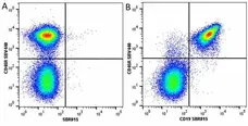 Anti Mouse CD45R Antibody, clone RA3-6B2 gallery image 64