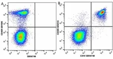 Anti Mouse CD45R Antibody, clone RA3-6B2 gallery image 66