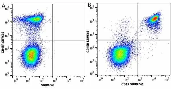 Anti Mouse CD45R Antibody, clone RA3-6B2 gallery image 66