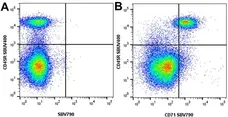 Anti Mouse CD45R Antibody, clone RA3-6B2 gallery image 68