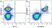 Anti Mouse CD45R Antibody, clone RA3-6B2 thumbnail image 70
