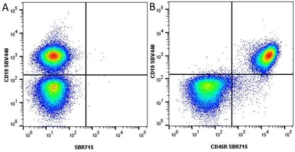 Anti Mouse CD45R Antibody, clone RA3-6B2 gallery image 71