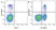 Anti Mouse CD45R Antibody, clone RA3-6B2 thumbnail image 76