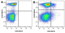 Anti Mouse CD45R Antibody, clone RA3-6B2 gallery image 79