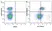 Anti Mouse CD45R Antibody, clone RA3-6B2 thumbnail image 83
