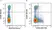Anti Mouse CD45R Antibody, clone RA3-6B2 thumbnail image 86