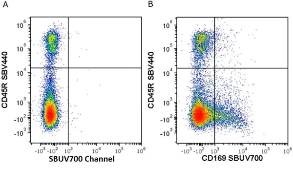 Anti Mouse CD45R Antibody, clone RA3-6B2 gallery image 86