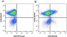 Anti Mouse CD45R Antibody, clone RA3-6B2 gallery image 88