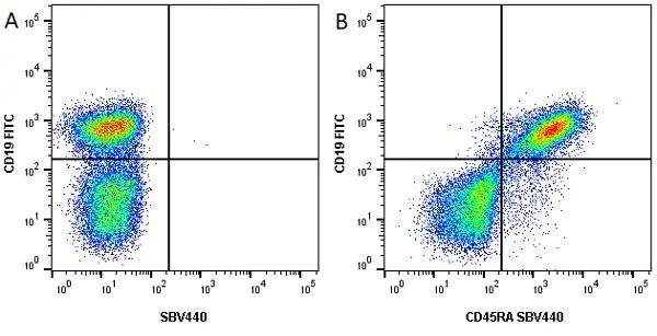 Anti Mouse CD45R Antibody, clone RA3-6B2 gallery image 9