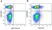 Anti Mouse CD45R Antibody, clone RA3-6B2 thumbnail image 90