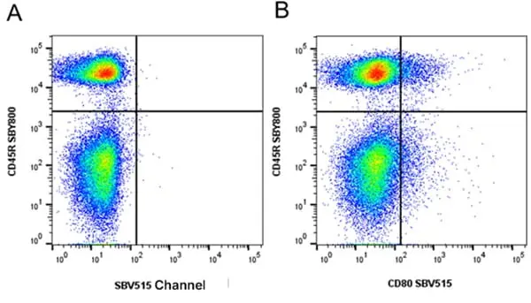 Anti Mouse CD45R Antibody, clone RA3-6B2 gallery image 90
