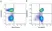 Anti Mouse CD45R Antibody, clone RA3-6B2 thumbnail image 91