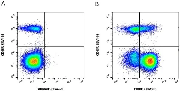 Anti Mouse CD45R Antibody, clone RA3-6B2 gallery image 92