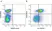 Anti Mouse CD45R Antibody, clone RA3-6B2 thumbnail image 93