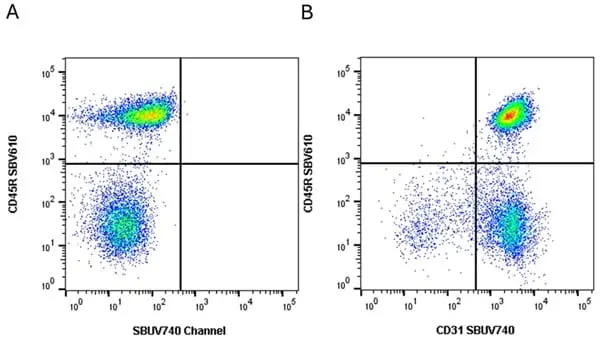 Anti Mouse CD45R Antibody, clone RA3-6B2 gallery image 94