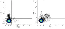 Anti Mouse CD49b Antibody, clone DX5 gallery image 2