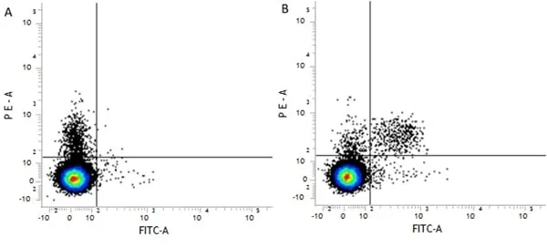 Anti Mouse CD49b Antibody, clone DX5 gallery image 2
