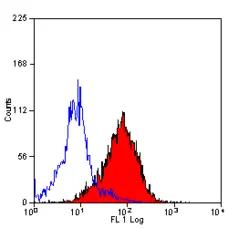 Anti Mouse CD49d Antibody, clone PS/2 gallery image 1