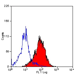 Anti Mouse CD49d Antibody, clone PS/2 gallery image 2