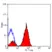 Anti Mouse CD61 Antibody, clone HM beta 3.1 thumbnail image 1