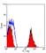 Anti Mouse CD61 Antibody, clone HM beta 3.1 thumbnail image 2