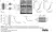 Anti Mouse CD61 Antibody, clone HM beta 3.1 thumbnail image 3