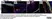 Anti Mouse CD68 Antibody, clone FA-11 thumbnail image 103