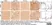 Anti Mouse CD68 Antibody, clone FA-11 thumbnail image 107