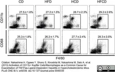 Anti Mouse CD68 Antibody, clone FA-11 gallery image 11