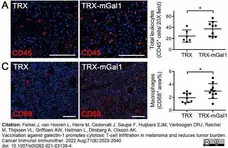 Anti Mouse CD68 Antibody, clone FA-11 gallery image 113