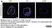 Anti Mouse CD68 Antibody, clone FA-11 thumbnail image 115