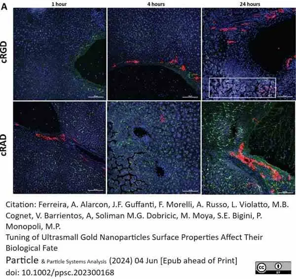 Anti Mouse CD68 Antibody, clone FA-11 gallery image 124