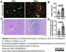 Anti Mouse CD68 Antibody, clone FA-11 gallery image 127