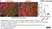 Anti Mouse CD68 Antibody, clone FA-11 thumbnail image 129