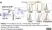 Anti Mouse CD68 Antibody, clone FA-11 thumbnail image 14