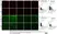 Anti Mouse CD68 Antibody, clone FA-11 thumbnail image 141