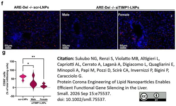 Anti Mouse CD68 Antibody, clone FA-11 gallery image 150