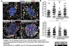 Anti Mouse CD68 Antibody, clone FA-11 gallery image 16