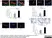 Anti Mouse CD68 Antibody, clone FA-11 thumbnail image 18