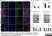 Anti Mouse CD68 Antibody, clone FA-11 thumbnail image 31