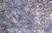 Anti Mouse CD68 Antibody, clone FA-11 thumbnail image 43