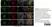 Anti Mouse CD68 Antibody, clone FA-11 thumbnail image 48