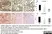 Anti Mouse CD68 Antibody, clone FA-11 thumbnail image 58