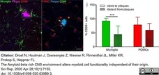 Anti Mouse CD68 Antibody, clone FA-11 gallery image 62