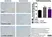 Anti Mouse CD68 Antibody, clone FA-11 thumbnail image 70