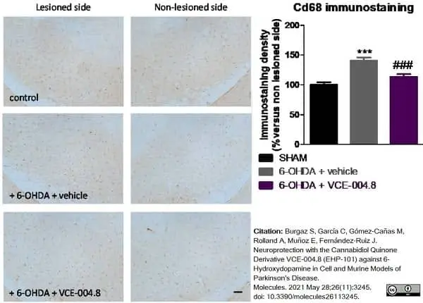 Anti Mouse CD68 Antibody, clone FA-11 gallery image 70