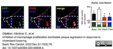 Anti Mouse CD68 Antibody, clone FA-11 gallery image 76