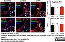 Anti Mouse CD68 Antibody, clone FA-11 gallery image 79